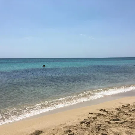 Erpi Vacanze Di Palmate' Cinzia-2